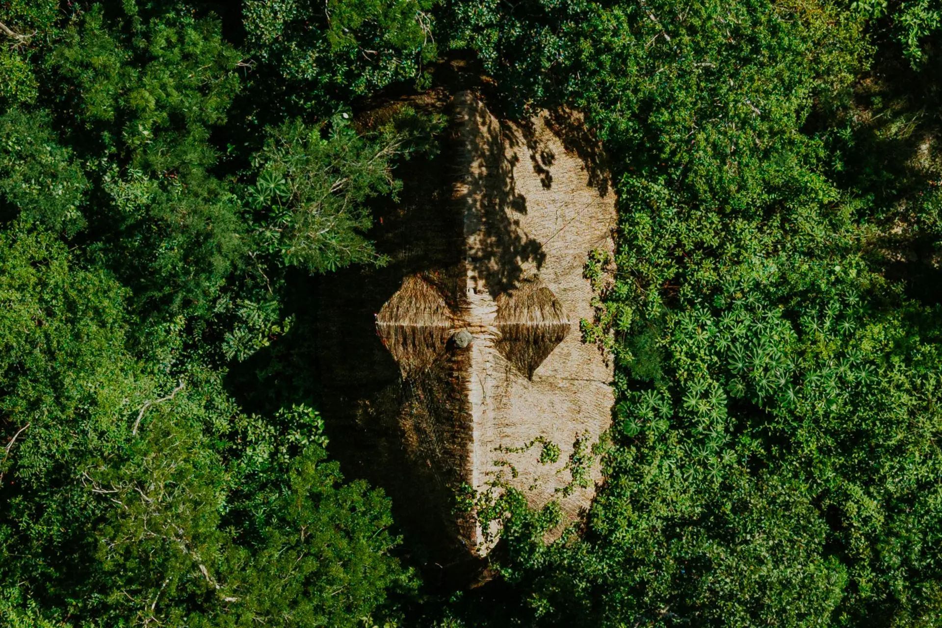 Ayahuasca Retreats