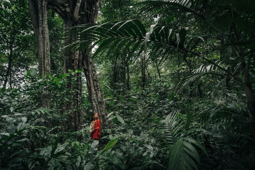 Ayahuasca Retreat 5 Days 4 Nights in Costa Rica