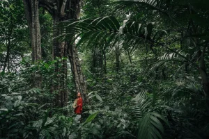 Ayahuasca Retreat 5 Days 4 Nights in Costa Rica