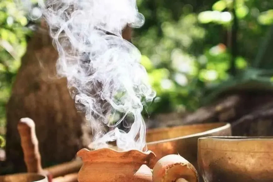 Ayahuasca Retreat Full Day in Costa Rica