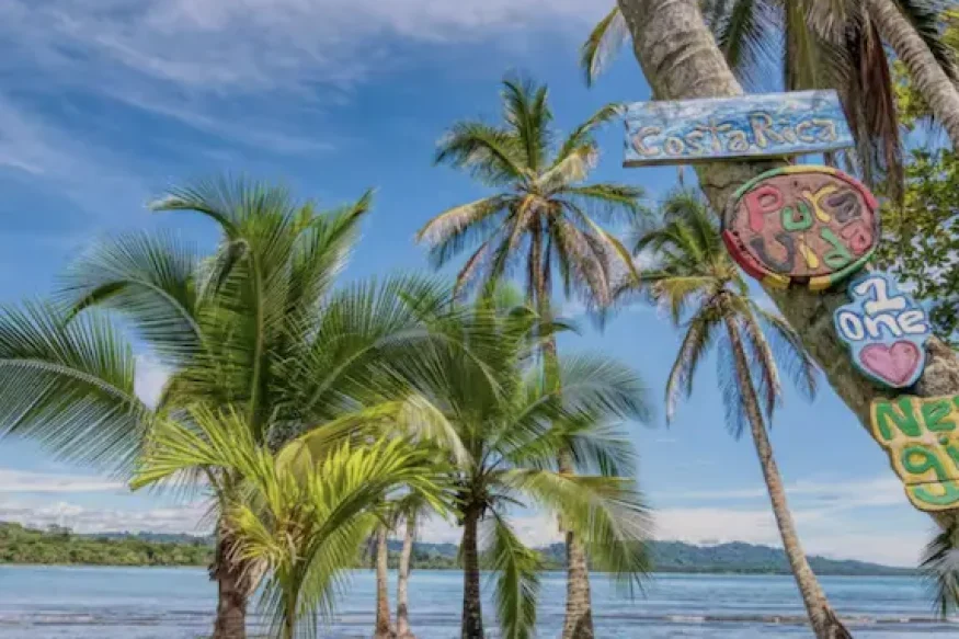 ayahuasca retreat in costa rica 2 days